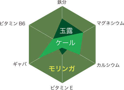 モリンガを100とした場合の、モリンガ（葉）・玉露（茶葉）・ケール（青汁）比較（100gあたり）