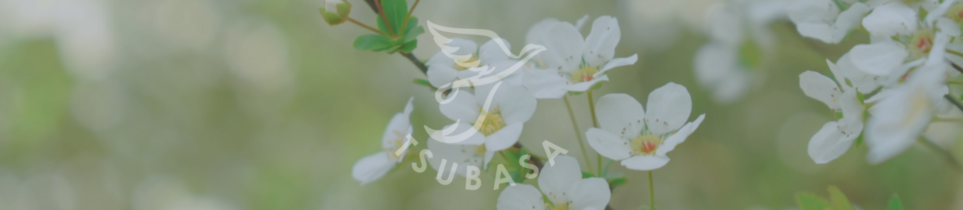 居宅介護