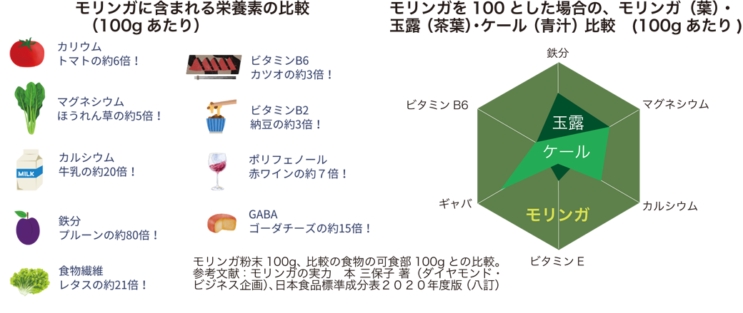 モリンガの栄養素